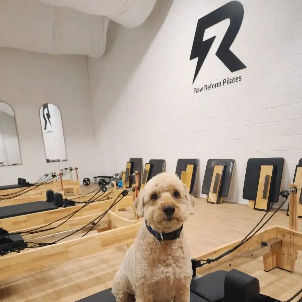 Premium oak wood Pilates reformers manufactured for Raw Reform Pilates studio in Mississauga